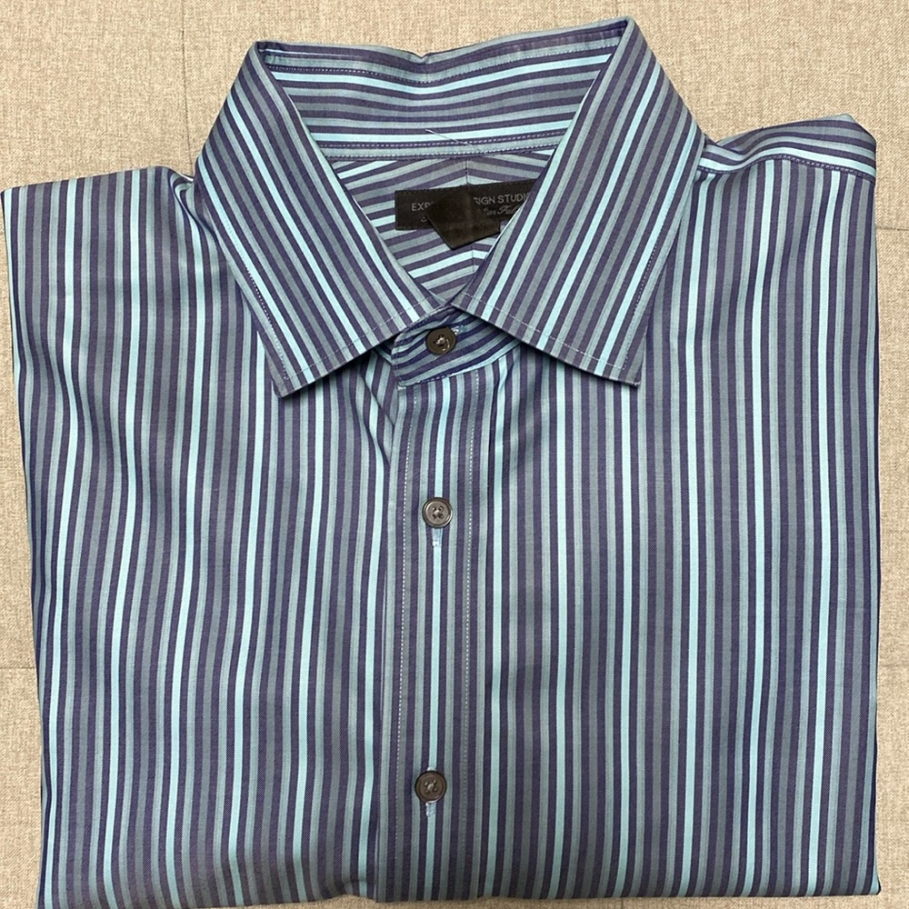 Express Design Studio Blue Striped Dress Shirt